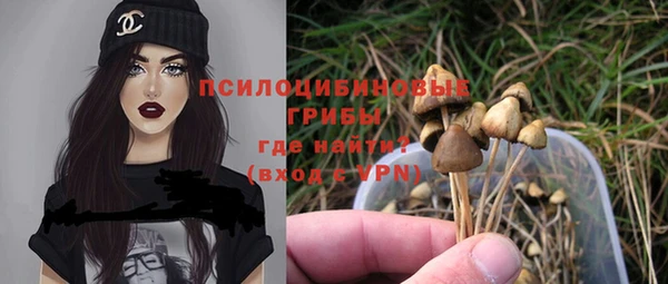 крисы Баксан
