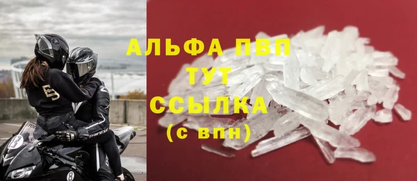 крисы Баксан