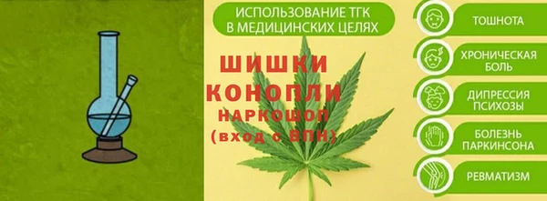 крисы Баксан