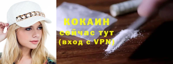 крисы Баксан