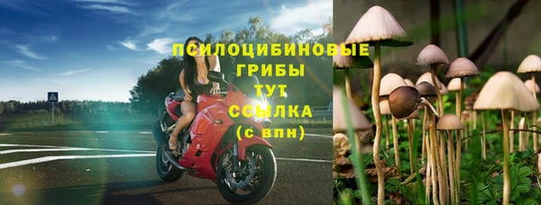 крисы Баксан