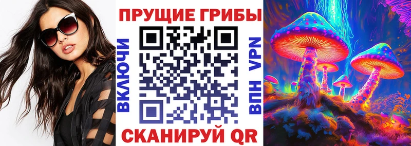 продажа наркотиков  Энем  МЕГА вход  Галлюциногенные грибы GOLDEN TEACHER 